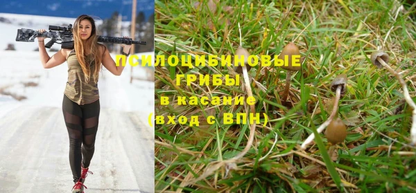прущая мука Лабытнанги