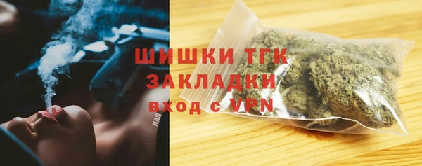 дмт Лагань