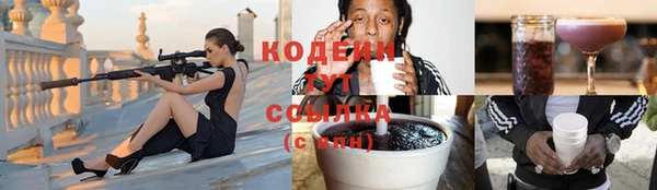 дмт Лагань
