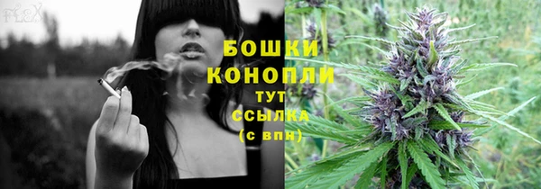 дмт Лагань